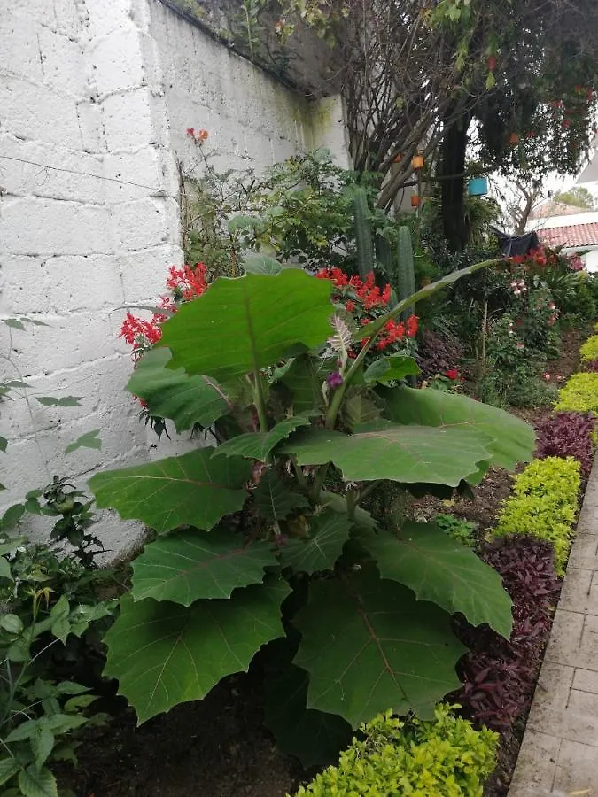 Casatodosantos Bed & Breakfast Cuenca 0*,