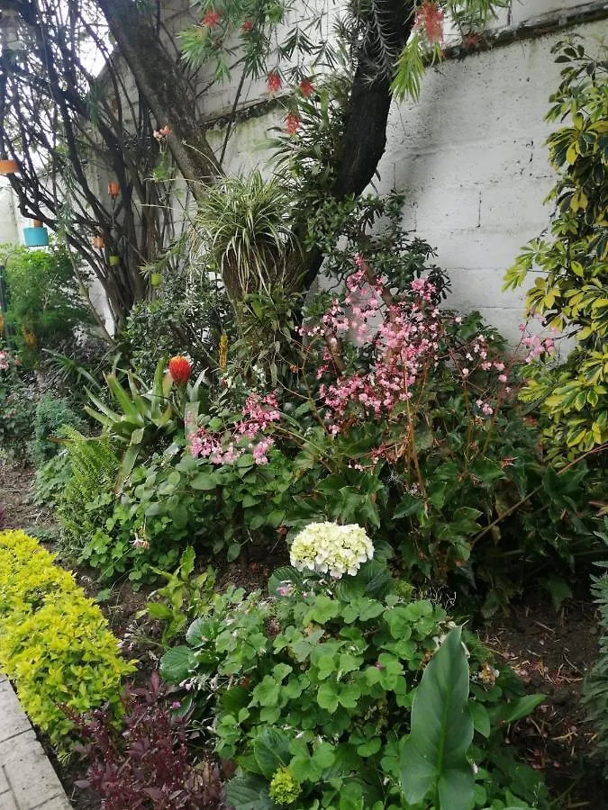 Casatodosantos Bed & Breakfast Cuenca